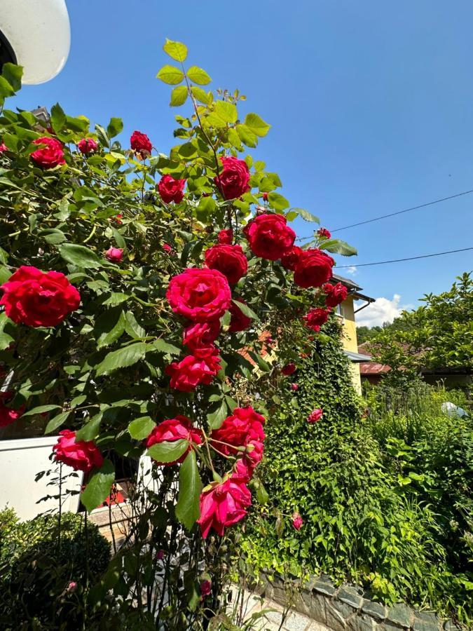 Beautiful House Overlooking サラエヴォ エクステリア 写真